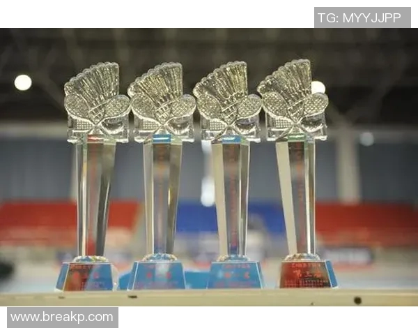 南京羽毛球队运营模式解析与发展前景探讨