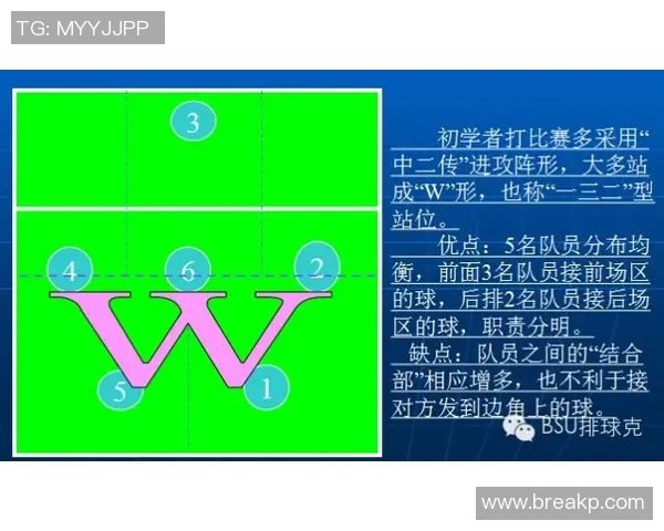 深圳与北京排球队对决后的战术分析与节奏探讨